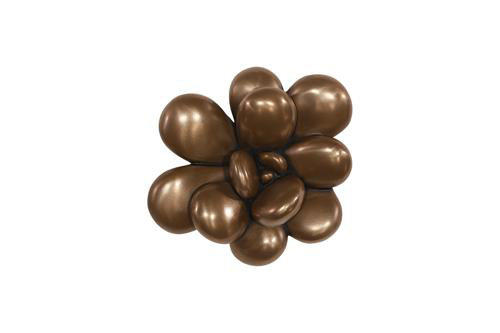 Oviferum Succulent Wall Art, Imperial Bronze