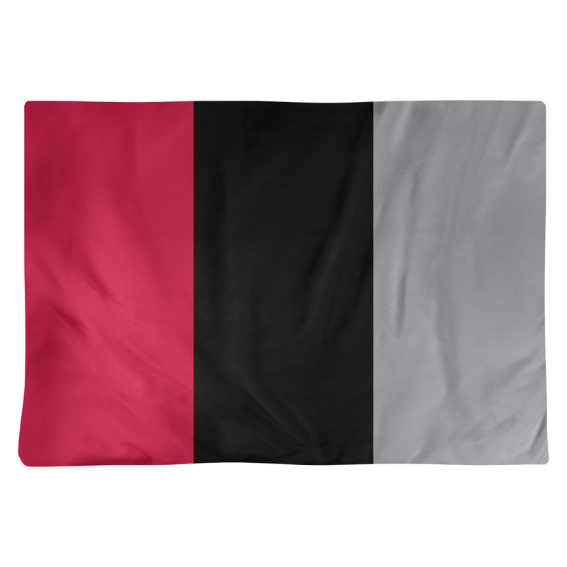 Récapitulatif 18" basket Toronto, Rouge / Noir / Argent, Sergé de coton