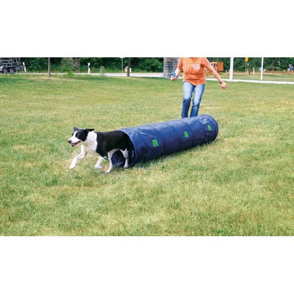 Midlee Hide A Ball Dog Toy - Blue/green (large) : Target