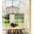 Sedley 28 -Inch Wide 4 - Light Dimmable Lantern Geometric Open Frame Chandelier Aged Iron-1001123330
