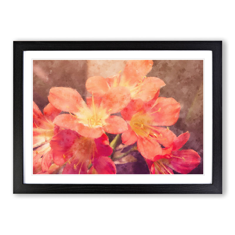 Pink Flowers - Framed Print, 36cm H x 48cm W x 2cm D, Black Framed