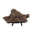 Cooperton Coffee Table