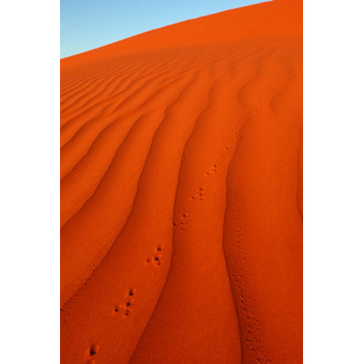 Foot Prints In Desert Sands - Wrapped Canvas Print