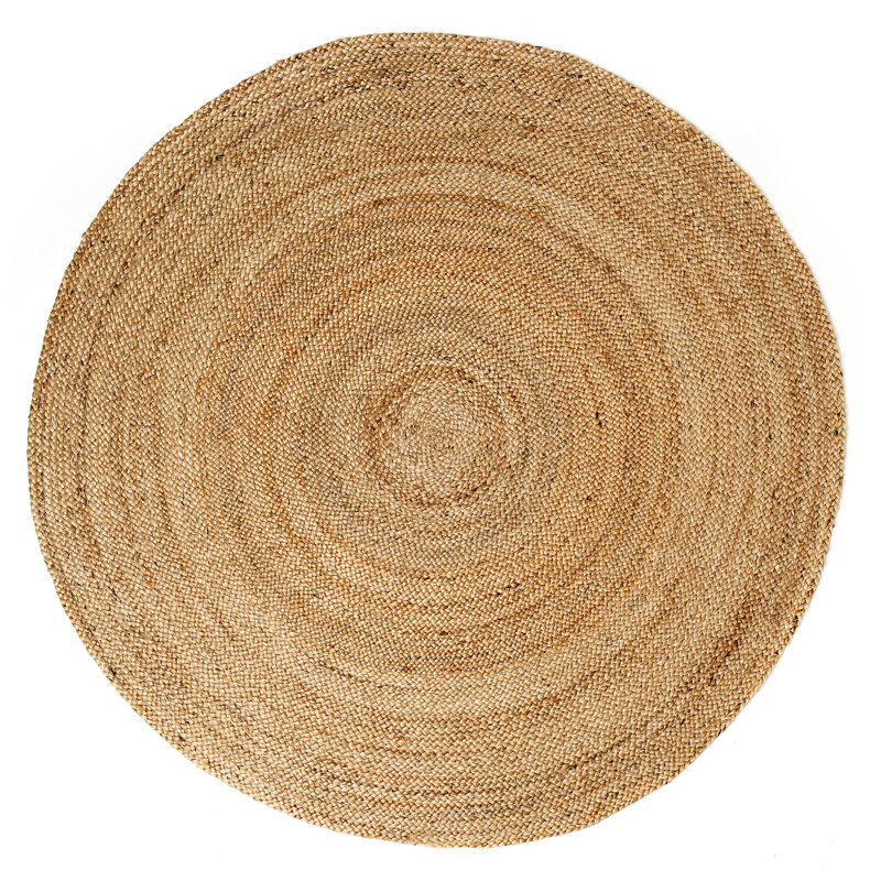 Gage Hand Braided Indoor Rug, Round 4'