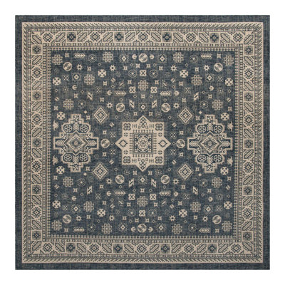 Anariya Indoor / Outdoor Rug