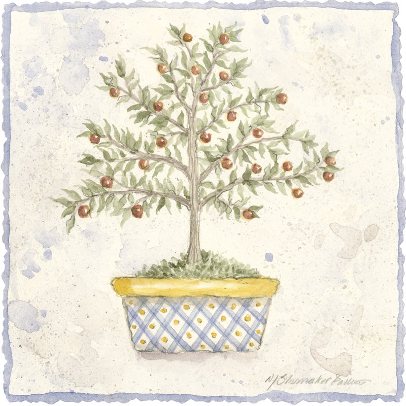 French Topiary II by Nancy Shumaker Pallan - Wrapped Canvas Painting, 51cm H x 51cm W