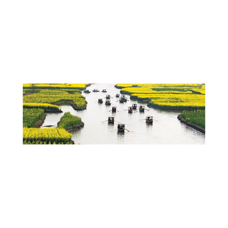 Rowing Boat On River Through Thousand-Islet Canola Flower Fields, Xinghua, Jiangsu Province, China by Keren Su - Wrapped Canvas Panoramic Print