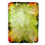  Throw Blanket-98709793