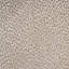 Shenzi Fabric-24592092
