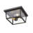Outdoor Flush Mount