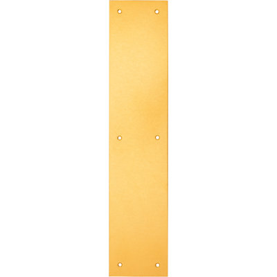 Amberlynne Back Plate