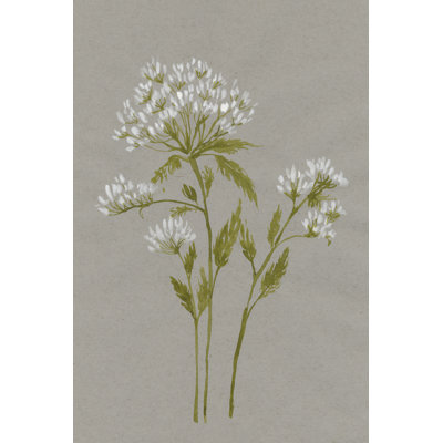 White Field Flowers IV - Painting