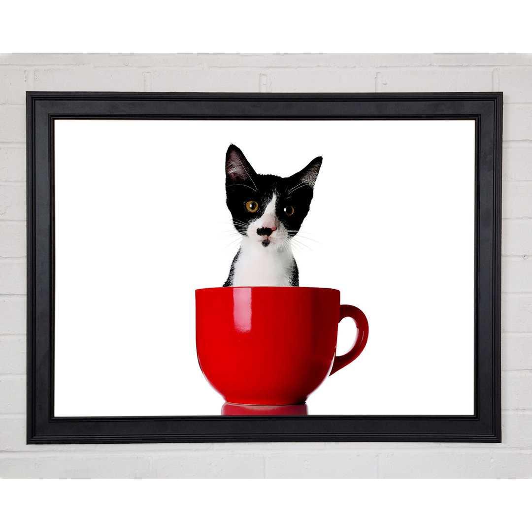 Gerahmtes Leinwandbild Cat In A Tea Cup