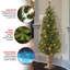 The Holiday Aisle® Montclair Spruce Entrance Tree with Clear Lights-597679817