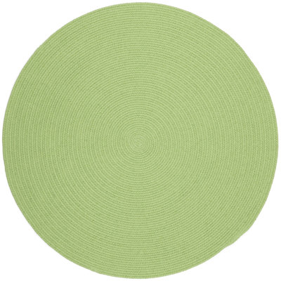 Misha Hand Braided Indoor / Outdoor Rug