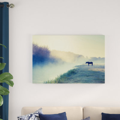 " Horse In The Fog "