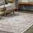 Davi Faded Traditional Spill Proof Machine Washable Area Rug-1068683944