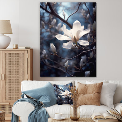 Blanc, bleu, magnolia, paysage, élégance