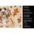 Cavapoo Heirloom Fall Kitchen Towel-1218231016
