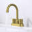 Topcraft Stainless Steel Two Handle Bathroom Faucet-111923568