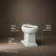 Memoirs 1.28 GPF (Water Efficient) Elongated Toilet Bowl with High Efficiency Flush (Seat Not Included)-6917634