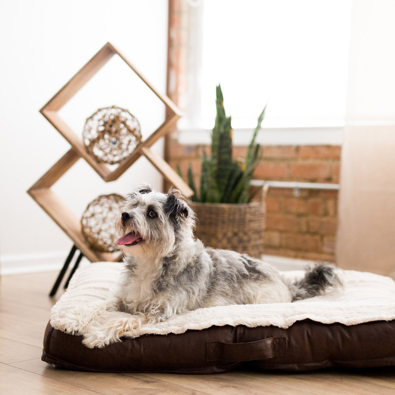 Faux Leather Pet Bed