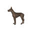 Great Dane, Standing , Bronze