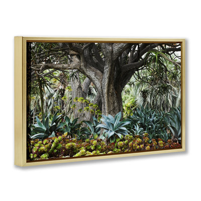 Toile flottante encadrée «Lush Tropical Plantation» par Richard Wong