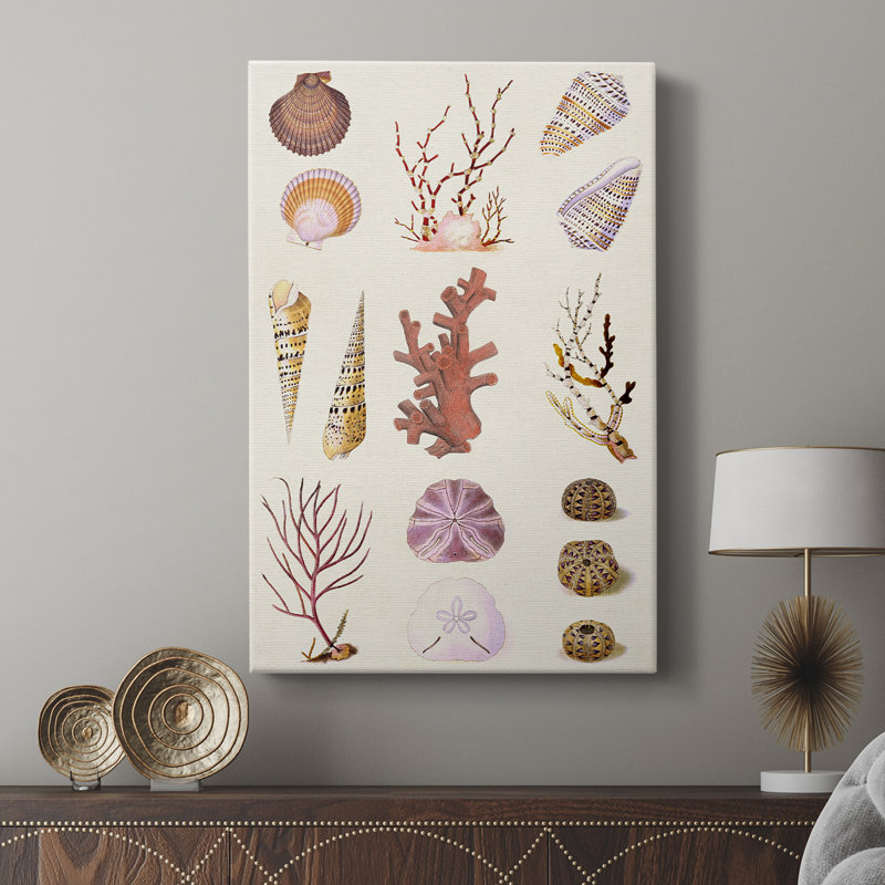Coral & Shell Collage II - galerie Cavas sur mesure, H 18 po x l 12 po