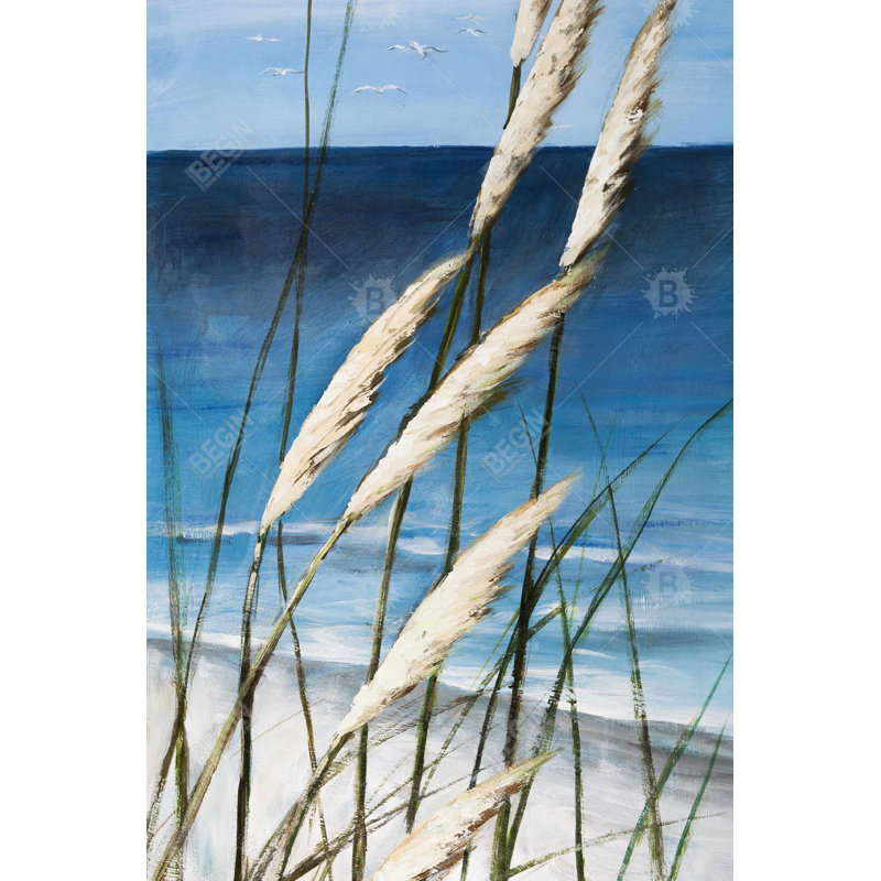 "Herbes sauvages au vent sur la plage"