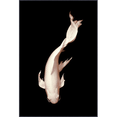 «White Koi 2»