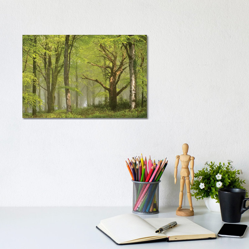 Beautiful Forest by Adam Burton - Wrapped Canvas Gallery-Wrapped Canvas Giclée, 20.32 cm H x 30.48 cm W