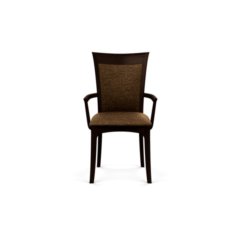 Morgan Upholstered Arm Chair, Smoke Cherry, Microseude Onyx
