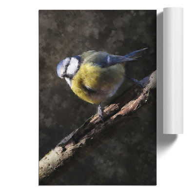 Blue Tit Bird Vol.1 - No Frame Painting