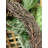 Faux Spruce Polyester 24'' Wreath