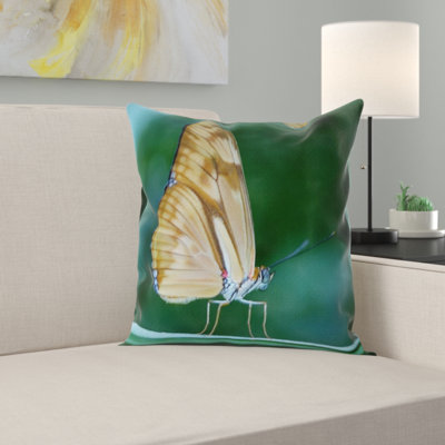 Coussin décoratif papillon