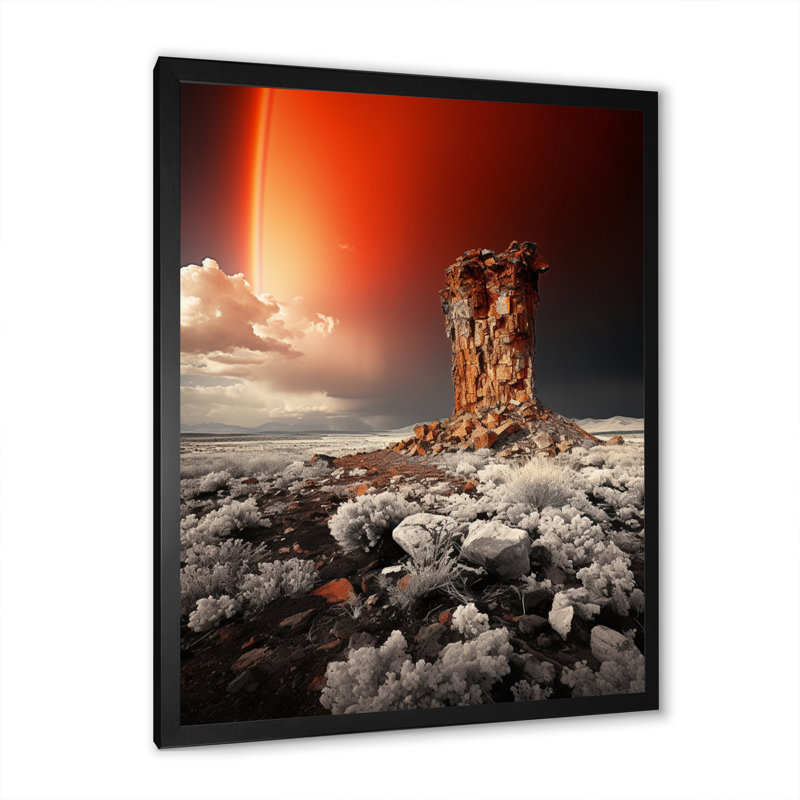 " Rainbow Monochrome Euphoria ", Black Picture Framed, 20" H x 12" W x 1" D