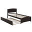Lit plateforme avec lit gigogne-1281186252