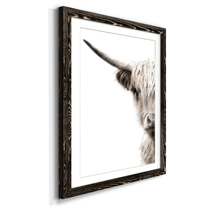 Bétail des Highlands - reproduction de photo, H 31,5 po x l 23,5 po x P 1,5 po, Papier encadré noir, Blanc