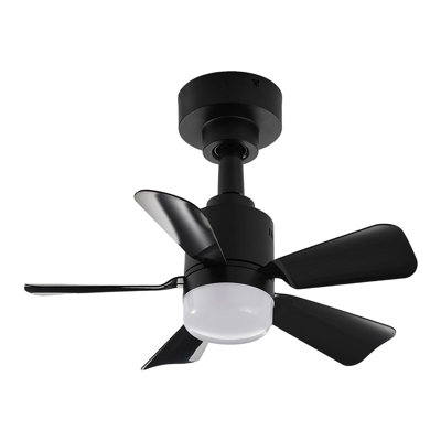 Ceiling Fan with LED Lights