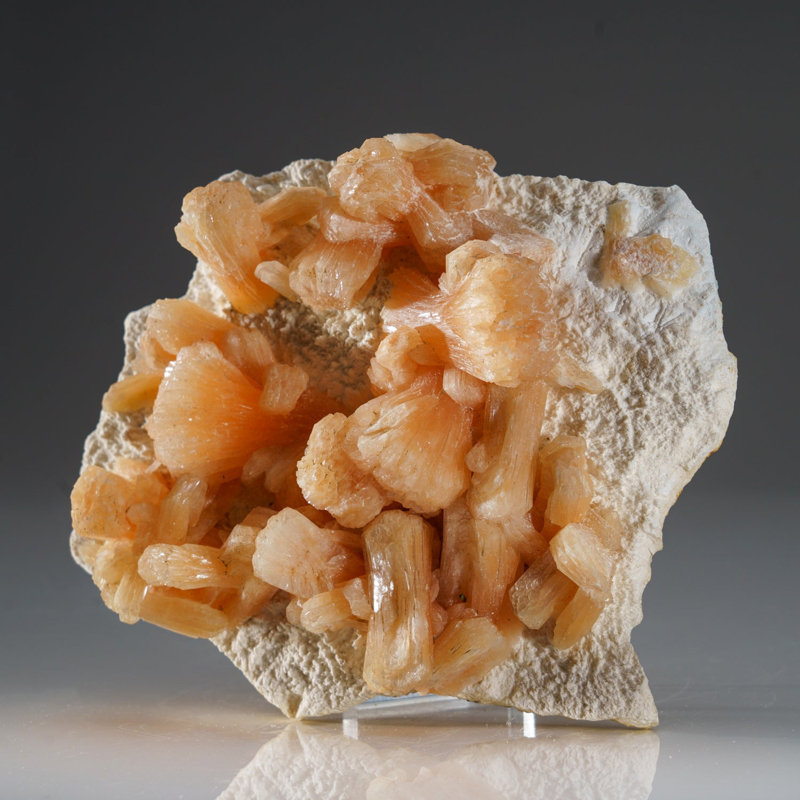 Stilbite sur Mordenite d'Aurangabad, Maharashtra, Inde