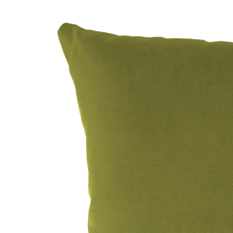 16" x 16" Outdoor Throw Pillow (Set of 2), Veranda Kiwi