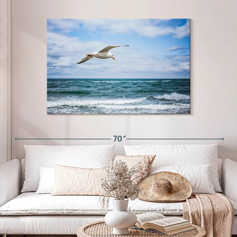 Mouette Brampt au-dessus de la mer