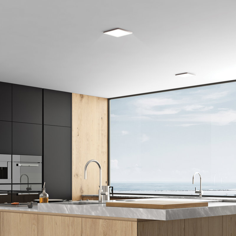 Speakman Acrylic Flush Mount, Brushed Steel, 0.5" H x 8.5" W x 8.5" D, 120V