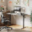 Bureau rectangulaire Mariliva-1529688243-1493024350-1493024351