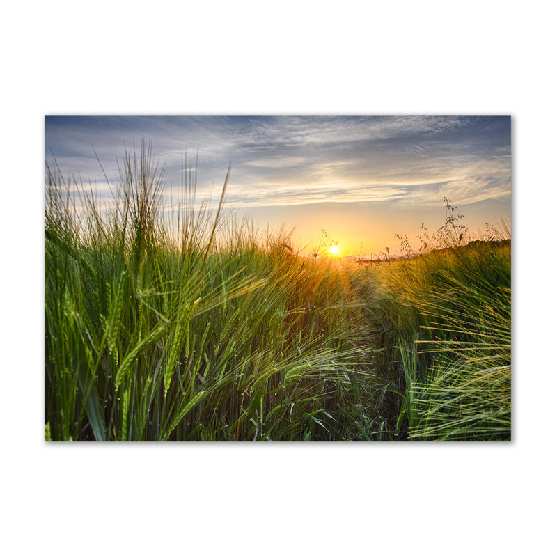 Wheat Field - Wrapped Canvas Print