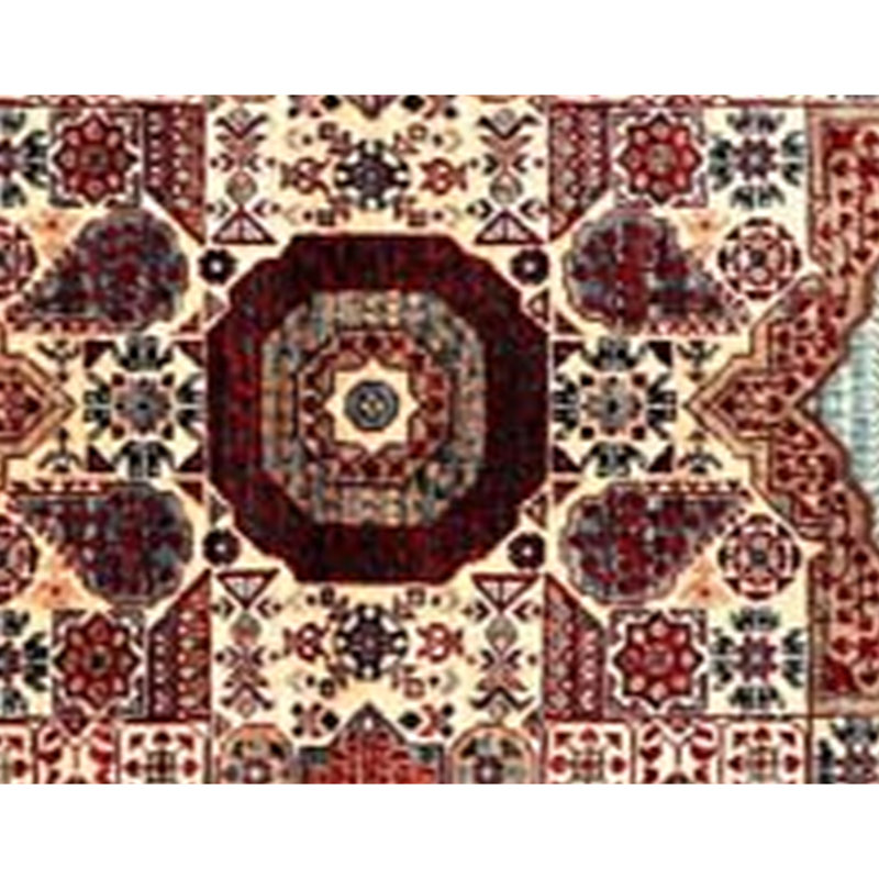 Aryana Wool Oriental Area Rug