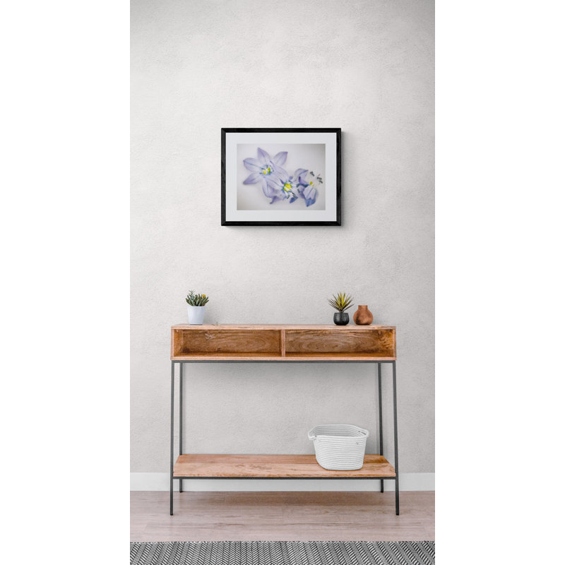 Spring Flowers On White Print by Scott Norris, 17.25" H x 21.25" W x 0.875" D