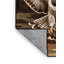  Tapis lavable d'oiseaux Cooper's Hawk-48074688