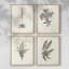 «Vintage Floral Print», impression encadrée «ACC», par 4-991916430